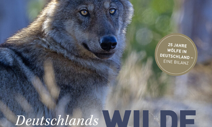 DeutschlandsWildeWölfe-AxelGomille-Cover-neu-online