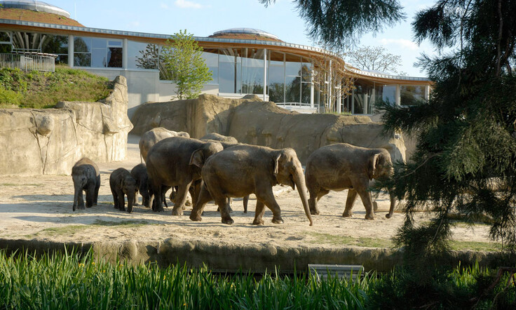 Elefantenpark 15