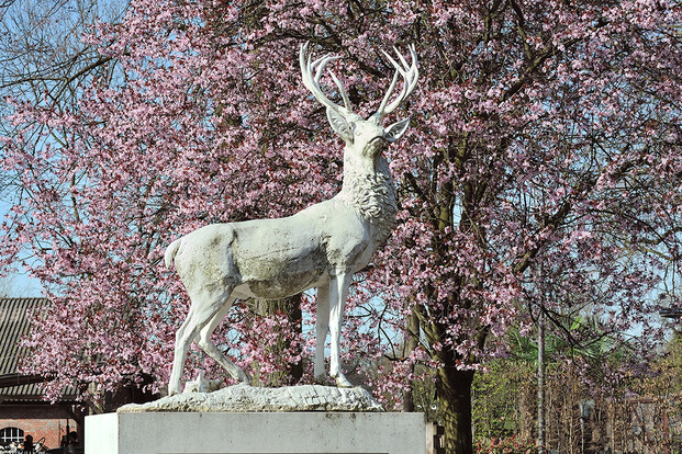 Weißer Hirsch mit Geweih als Statue auf Sockel vor blühendem Baum mit rosa Blüten - eine Blutpflaume.