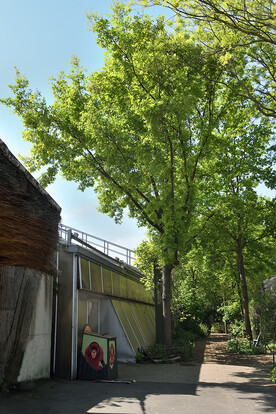 Grüner Baum vor einem Gewächshaus mit einer bemalten Mülltonne.