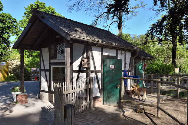 Kleines Fachwerkgebäude mit grünem Holztor und eingezäuntem Gehege mit einem Ziegenbock im Sonnenlicht.