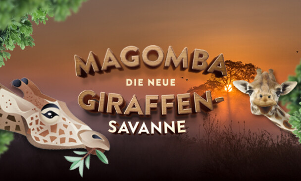 Spenden Magomba